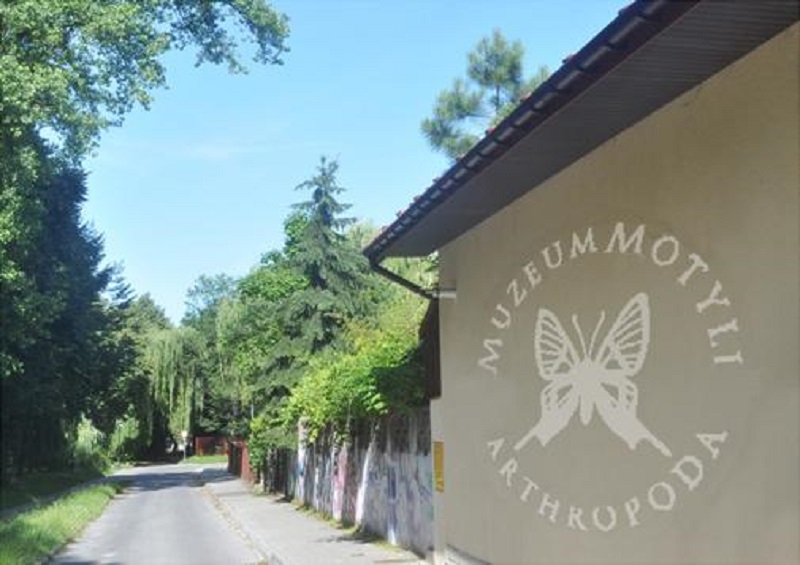 Muzeum Motyli Arthropoda