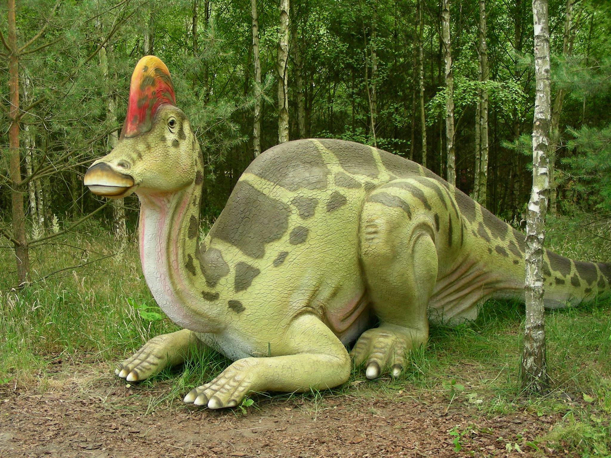 Park Dinozaurów Nowiny Wielkie