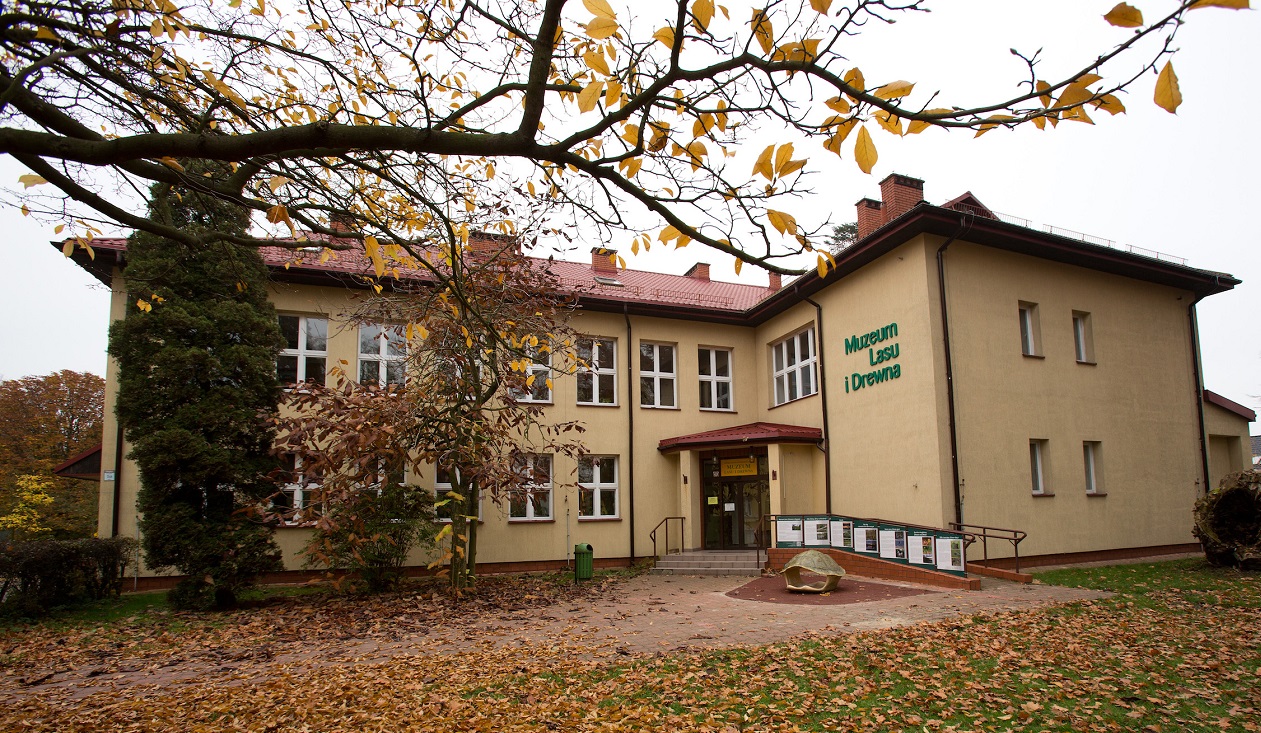 Muzeum Lasu i Drewna w Rogowie