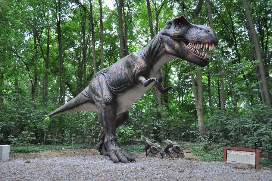 Dino Park Malbork