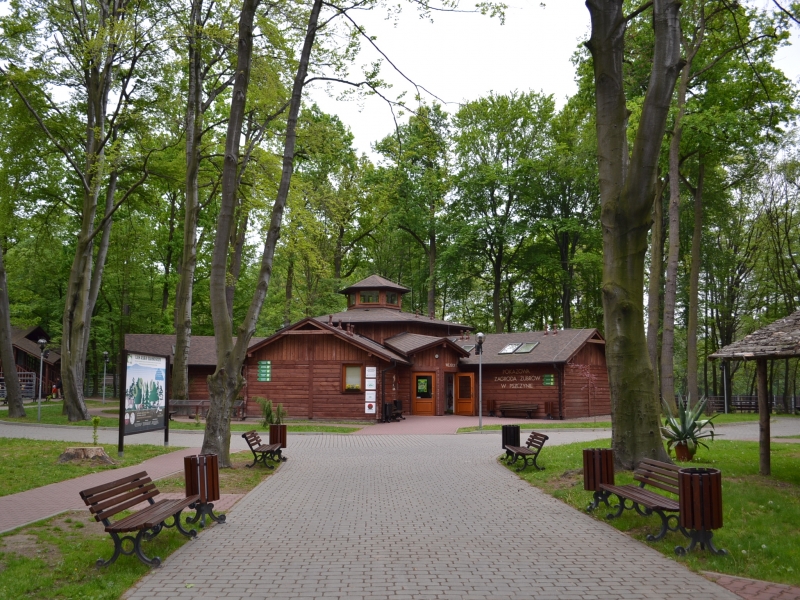Zagroda Żubrów w Pszczynie 