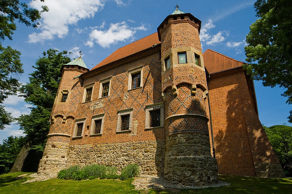Zamek w Dębnie