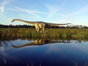 Park Dinozaurów Łeba Park