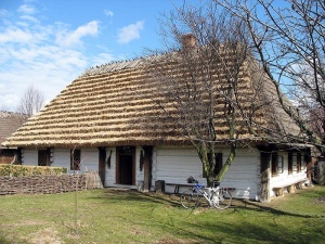 Muzeum Wsi Markowa, Skansen
